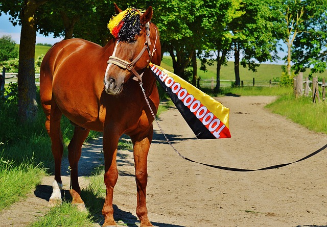 以此来改善 以此来改善