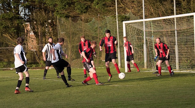 这样的比较 这样的比较