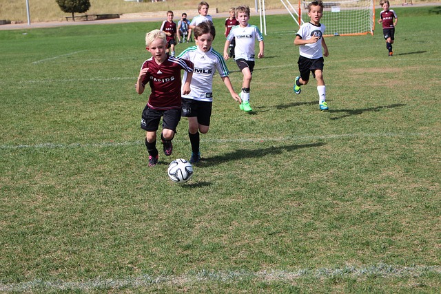 从以往的错 从以往的错