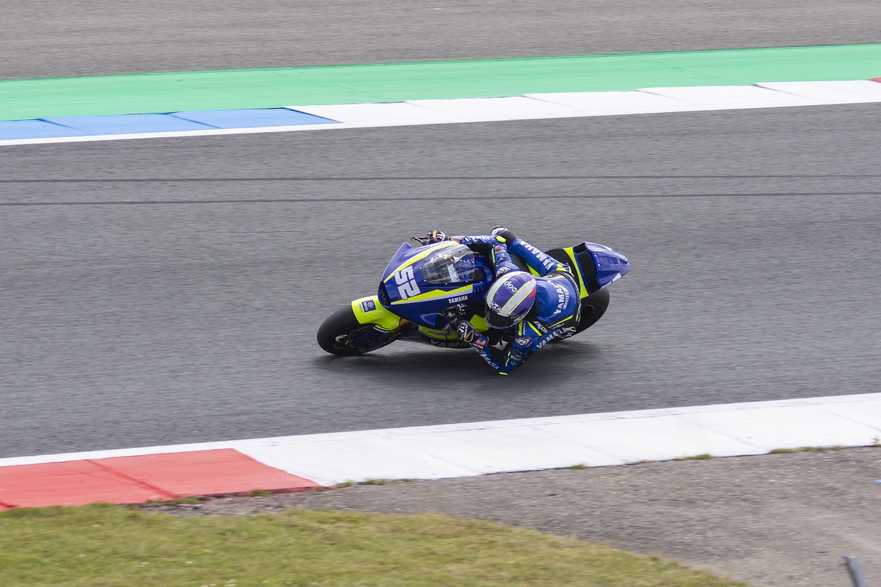 年轻文化交 年轻文化交