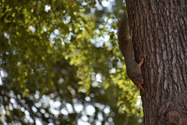 的照片中 的照片中