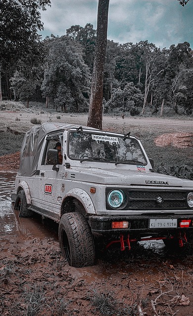 卡塞米罗的 卡塞米罗的