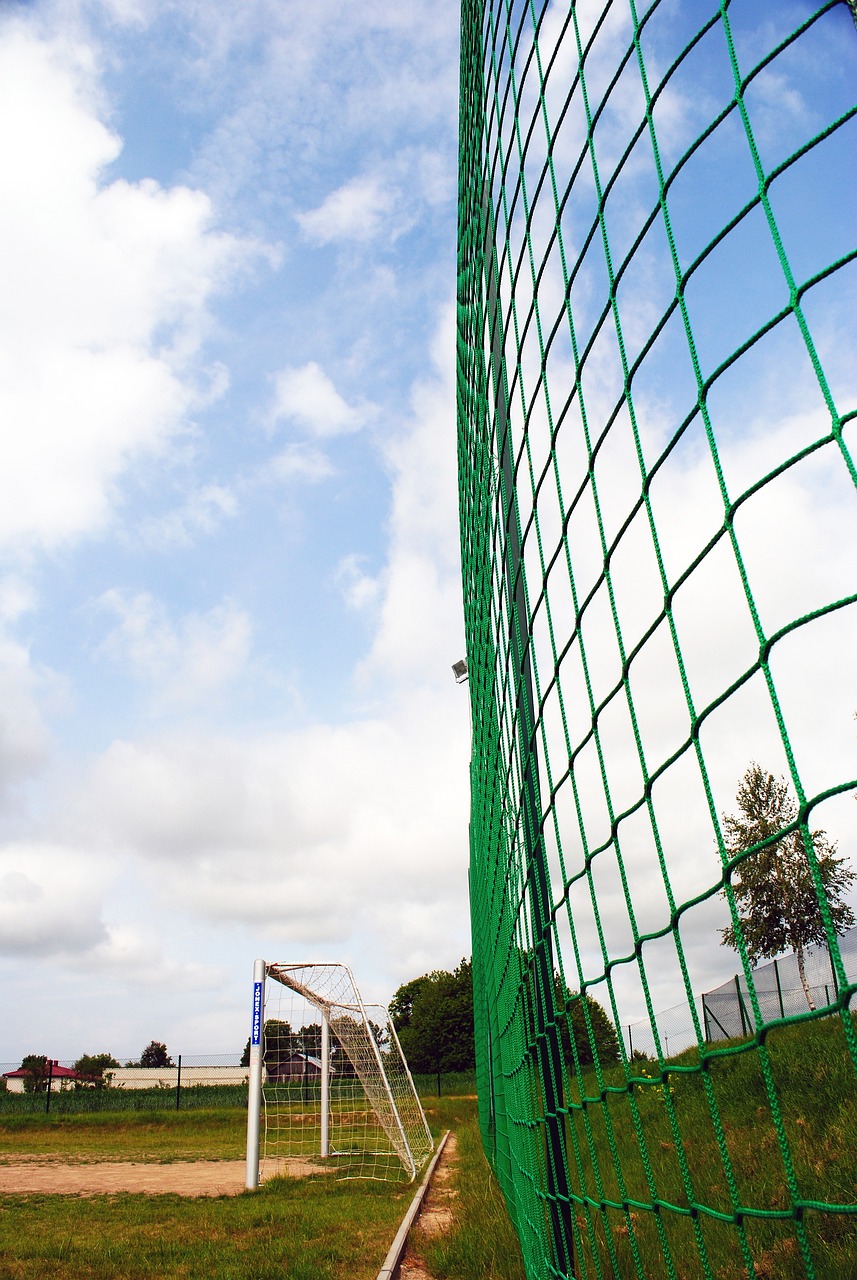 赛后能够充 赛后能够充